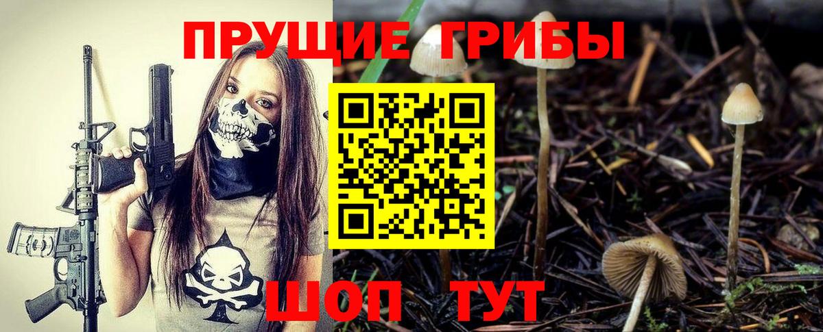Псилоцибиновые грибы мицелий Шали