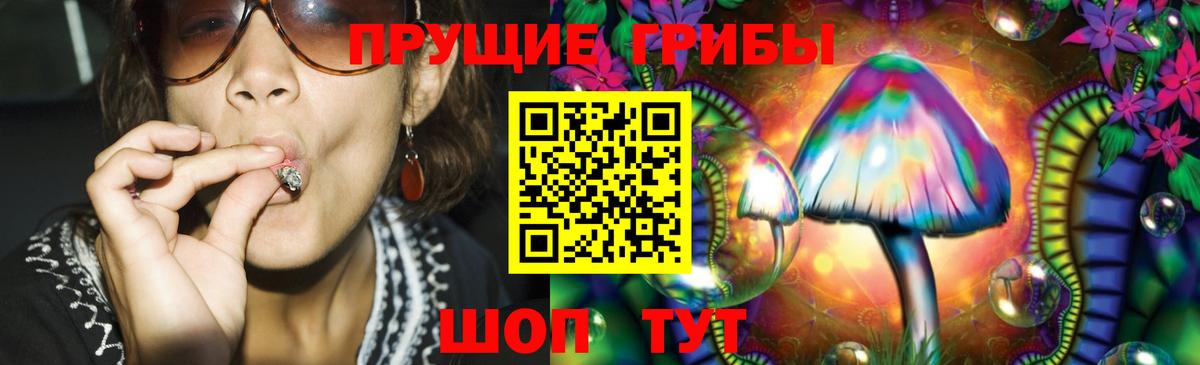 Шали  Галлюциногенные грибы MAGIC MUSHROOMS  Галлюциногенные грибы прущие грибы  Вход с VPN 